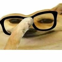 Никитин Наст