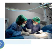 general gynaecology  services