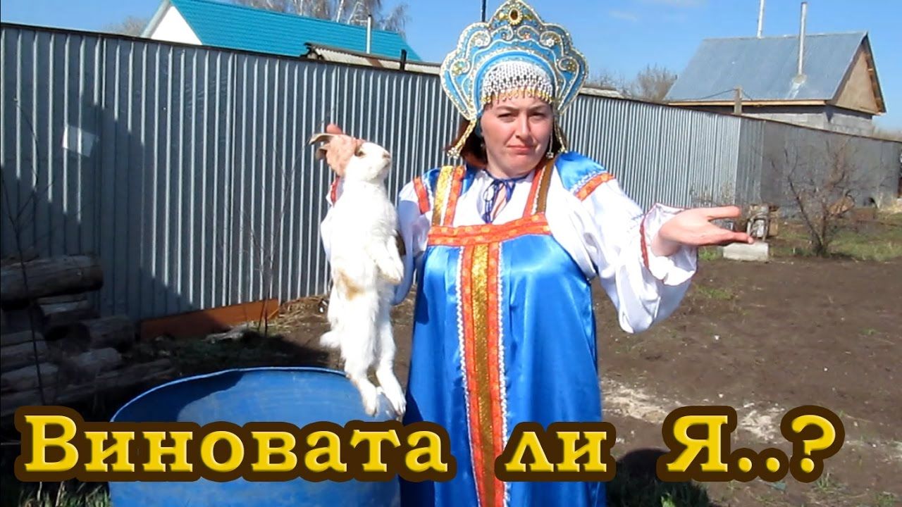 Включи виновата ли я. Дуэт сладка ягода. Кадышева виновата ли. Виновата ли я. Включи виновата ли я.